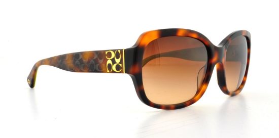 Picture of Coach Sunglasses HC8001 L001 Emma