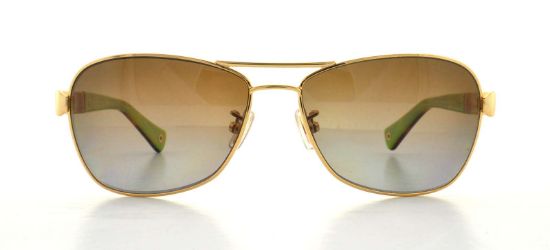 Designer Frames Outlet. Coach Sunglasses HC7012 L038 Caroline