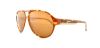Picture of Carrera Xcede Sunglasses 7001/S