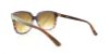 Picture of Bebe Sunglasses BB7038