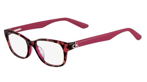 Picture of Calvin Klein Platinum Eyeglasses 5733