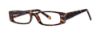 Picture of Fundamentals Eyeglasses F004
