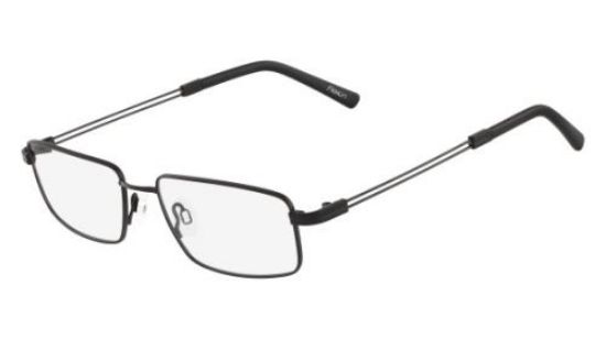 Picture of Flexon Eyeglasses E1001