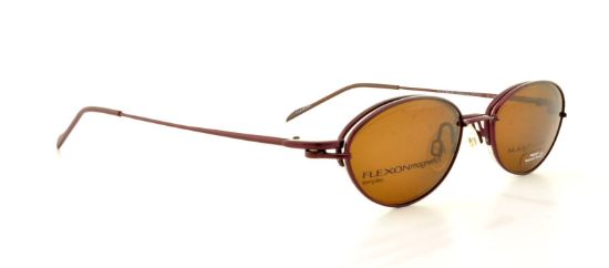 Picture of Flexon Eyeglasses FLX 883MAG-SET