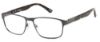 Picture of Gant Eyeglasses G 108
