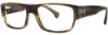 Picture of Republica Eyeglasses GENEVA