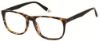 Picture of Gant Rugger Eyeglasses GR 108