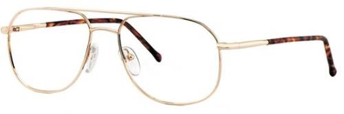 Picture of Comfort Flex Eyeglasses HENRY FLEX