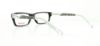 Picture of Converse Eyeglasses K013
