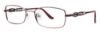 Picture of Timex Eyeglasses T192