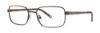 Picture of Timex Eyeglasses T284