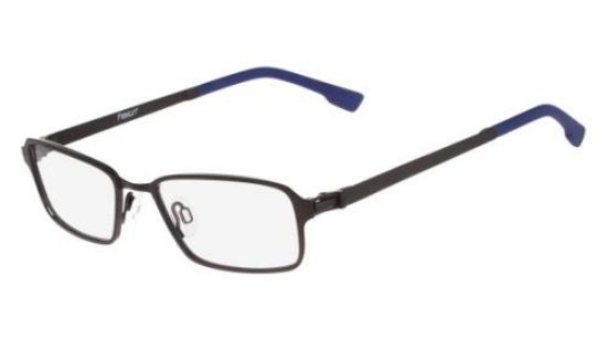 Picture of Flexon Eyeglasses E1054