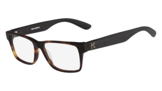 Picture of Karl Lagerfeld Eyeglasses KL873