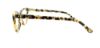 Picture of Converse Eyeglasses P006 UF