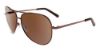 Picture of Tommy Bahama Sunglasses TB7037