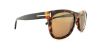Picture of Tom Ford Sunglasses FT0336 Leo