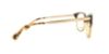 Picture of Guess Eyeglasses GU 2461