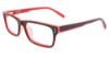 Picture of Converse Eyeglasses Q040 UF