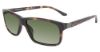 Picture of Spine Sunglasses SP7003