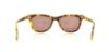 Picture of Cole Haan Sunglasses CH627