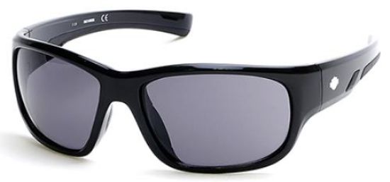 Picture of Harley Davidson Sunglasses HD0902X