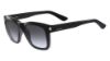 Picture of Valentino Sunglasses V725S