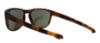 Picture of Oakley Sunglasses SLIVER R