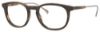 Picture of Tommy Hilfiger Eyeglasses 1384