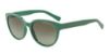Picture of Armani Exchange Sunglasses AX4034