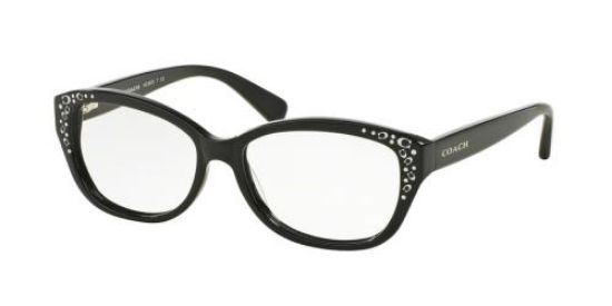 Picture of Coach Eyeglasses HC6076F