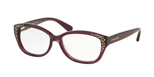 Picture of Coach Eyeglasses HC6076F