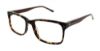Picture of Izod Eyeglasses 6004