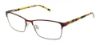 Picture of Red Raven Eyeglasses DICKENSON