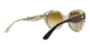 Picture of Dolce & Gabbana Sunglasses DG4236