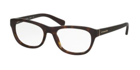 Picture of Coach Eyeglasses HC6081F