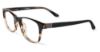 Picture of Spine Eyeglasses SP1002
