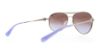 Picture of Michael Kors Sunglasses MK5001 Zanzibar