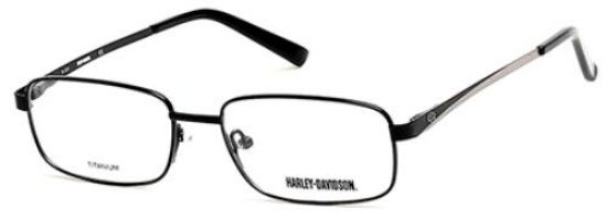Picture of Harley Davidson Eyeglasses HD0747