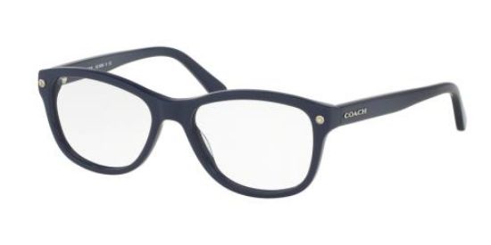 Picture of Coach Eyeglasses HC6095F