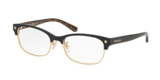 Picture of Coach Eyeglasses HC6098