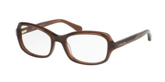 Picture of Coach Eyeglasses HC6097F