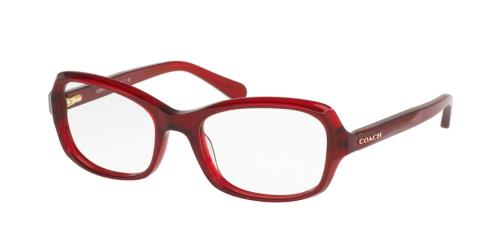 Picture of Coach Eyeglasses HC6097F