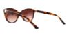 Picture of Swarovski Sunglasses SK0120 Felicity
