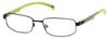 Picture of Skechers Eyeglasses SE3181