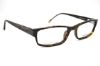 Picture of Fossil Eyeglasses CALVIN