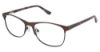 Picture of Ann Taylor Eyeglasses AT211