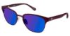 Picture of Sperry Sunglasses BLUFF POINT
