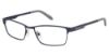 Picture of Champion Eyeglasses 1012