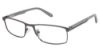 Picture of Champion Eyeglasses 2008