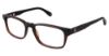 Picture of Sperry Eyeglasses Amagansett